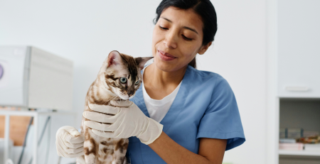 Woman holding cat